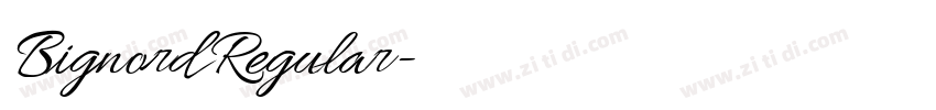 Bignord Regular字体转换 Bignord Regular字体转换